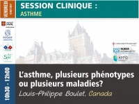 L’asthme, plusieurs phénotypes ou plusieurs maladies?