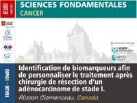 Identification de biomarqueurs afin de personnaliser le traitement après chirurgie de résection d’un adénocarcinome de stade I