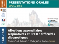 Affections aspergillaires respiratoires et BPCO : difficultés diagnostiques