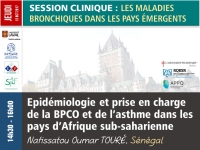 Epidémiologie et prise en charge de la BPCO et de l’asthme dans les pays d’Afrique sub-saharienne